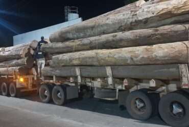Crime ambiental: PRF apreende madeira ilegal em Ipiranga do Norte (MT)
