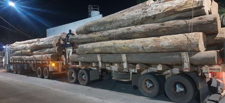 Crime ambiental: PRF apreende madeira ilegal em Ipiranga do Norte (MT)