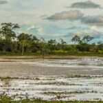 Nível do Rio Paraguai em Mato Grosso atinge recorde negativo