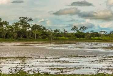 Nível do Rio Paraguai em Mato Grosso atinge recorde negativo