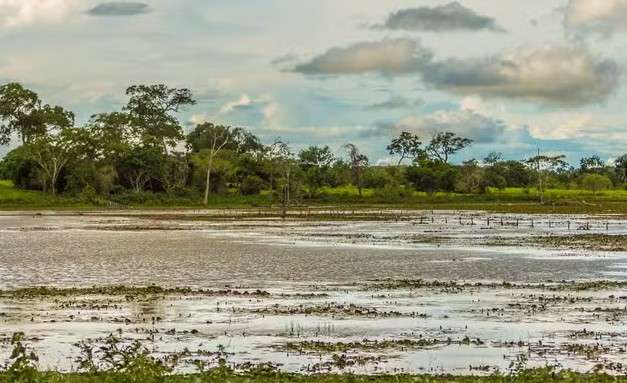 Nível do Rio Paraguai em Mato Grosso atinge recorde negativo