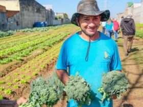 Agricultura sustentável é impulsionada em Mato Grosso