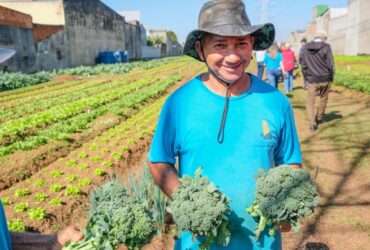 Agricultura sustentável é impulsionada em Mato Grosso