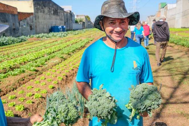 Agricultura sustentável é impulsionada em Mato Grosso