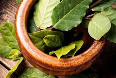 Bay Leaf on a Wooden Surface - Fotos do Canva