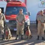 Bombeiros de Mato Grosso envia nova equipe para apoio às operações de buscas e resgate no Rio Grande do Sul