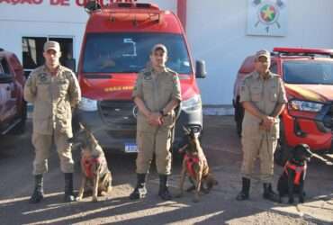 Bombeiros de Mato Grosso envia nova equipe para apoio às operações de buscas e resgate no Rio Grande do Sul