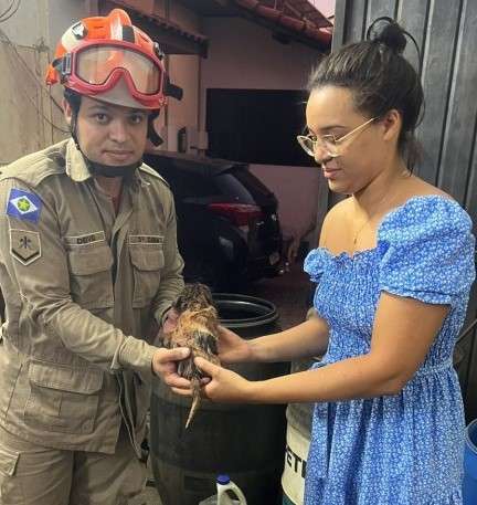 Bombeiros resgatam cachorro preso em cano de esgoto em Tangará da Serra