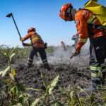 Bombeiros combatem 54 incêndios florestais em Mato Grosso neste sábado (14)