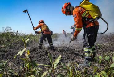 Bombeiros combatem 54 incêndios florestais em Mato Grosso neste sábado (14)