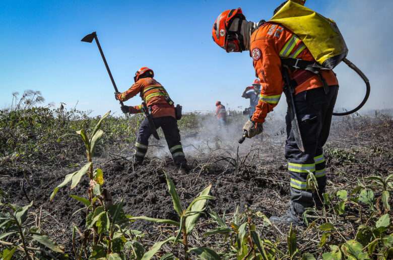 Bombeiros combatem 54 incêndios florestais em Mato Grosso neste sábado (14)