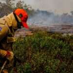 Exército intensifica combate a incêndios no Pantanal de Mato Grosso