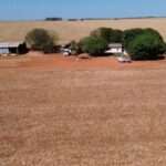 Fazenda de 2,4 mil hectares será leiloada em Mato Grosso