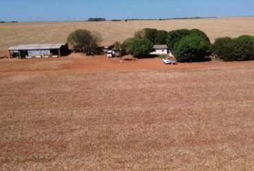 Fazenda de 2,4 mil hectares será leiloada em Mato Grosso