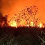 Número de focos em setembro no Pantanal de Mato Grosso quase dobra em relação ao ano passado, revela Inpe