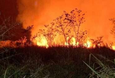 Número de focos em setembro no Pantanal de Mato Grosso quase dobra em relação ao ano passado, revela Inpe