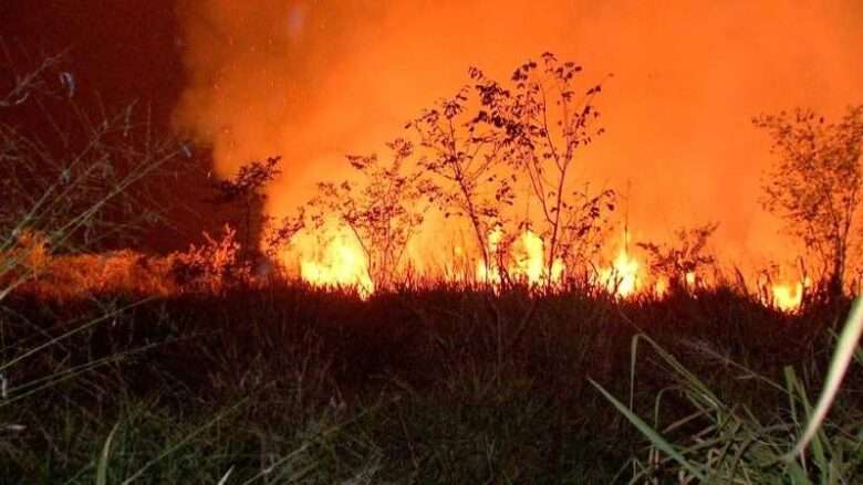 Número de focos em setembro no Pantanal de Mato Grosso quase dobra em relação ao ano passado, revela Inpe