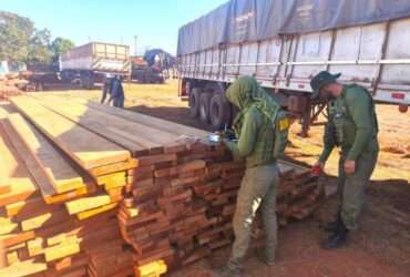 Madeira apreendida em Mato Grosso será utilizada para construção de casas populares e manutenção de prédios públicos