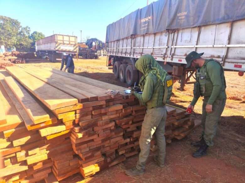 Madeira apreendida em Mato Grosso será utilizada para construção de casas populares e manutenção de prédios públicos