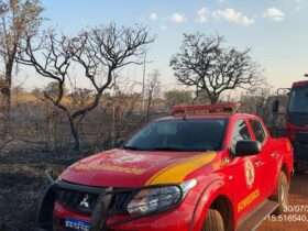 Mais de mil bombeiros combatem 49 incêndios florestais em Mato Grosso, na data de hoje (12)