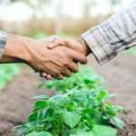 O celeiro do Brasil brilha em feira internacional de agronegócio