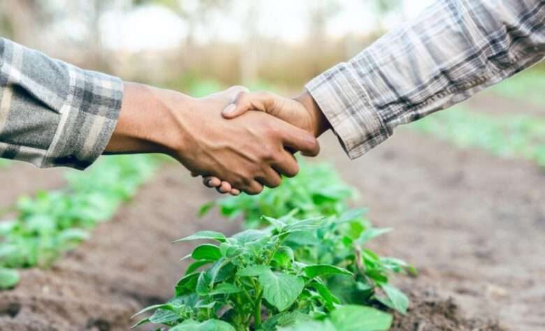 O celeiro do Brasil brilha em feira internacional de agronegócio