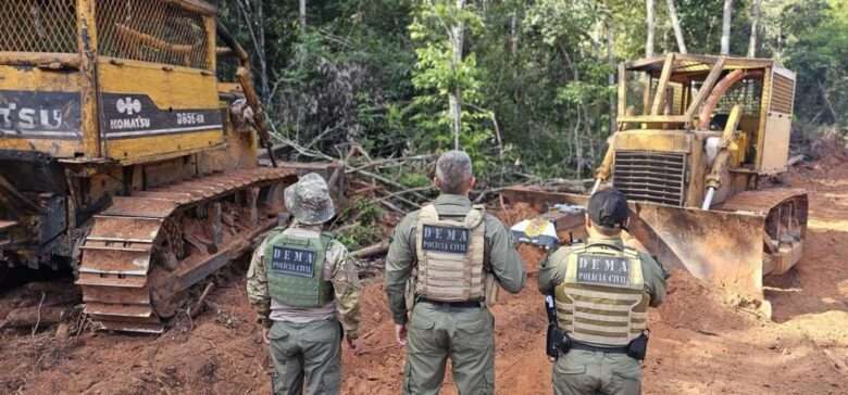 Polícia realizou mais de 30 operações contra crimes ambientais no primeiro semestre de 2024