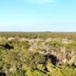 Promotoria cria reservas particulares no Cerrado para preservação ambiental