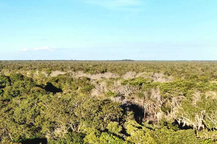 Promotoria cria reservas particulares no Cerrado para preservação ambiental