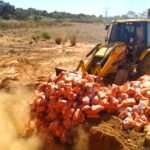 A eliminação do material é garantida por lei e serve para garantir a sanidade vegetal no estado de Mato Grosso.