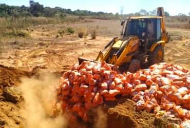 A eliminação do material é garantida por lei e serve para garantir a sanidade vegetal no estado de Mato Grosso.