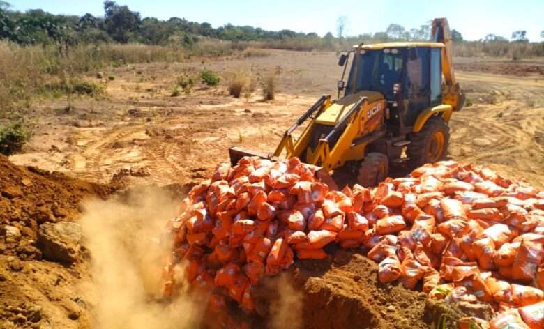 A eliminação do material é garantida por lei e serve para garantir a sanidade vegetal no estado de Mato Grosso.