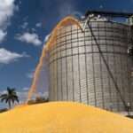 Para a safra 2023/24, é esperado que Mato Grosso produza 89,9 milhões de toneladas de grãos  - Foto por: Assessoria/Sedec
