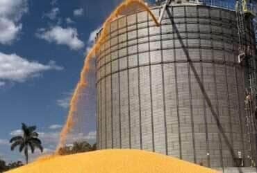 Para a safra 2023/24, é esperado que Mato Grosso produza 89,9 milhões de toneladas de grãos  - Foto por: Assessoria/Sedec