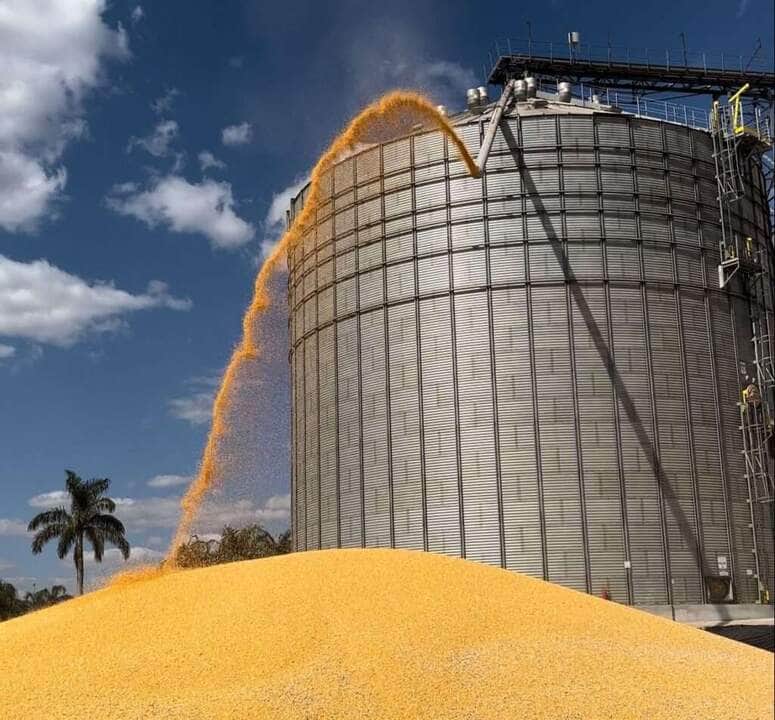 Para a safra 2023/24, é esperado que Mato Grosso produza 89,9 milhões de toneladas de grãos - Foto por: Assessoria/Sedec