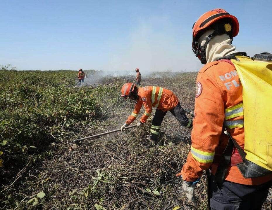 Produtores unem forças para combater chamas