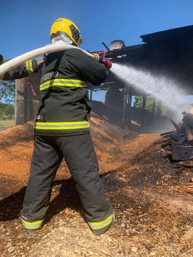corpo de bombeiros militar combate incendios e realiza atividades com caes treinados interna 2 2024 07 08 1551020787