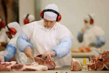 industria frigorifica trabalhador corte de carne