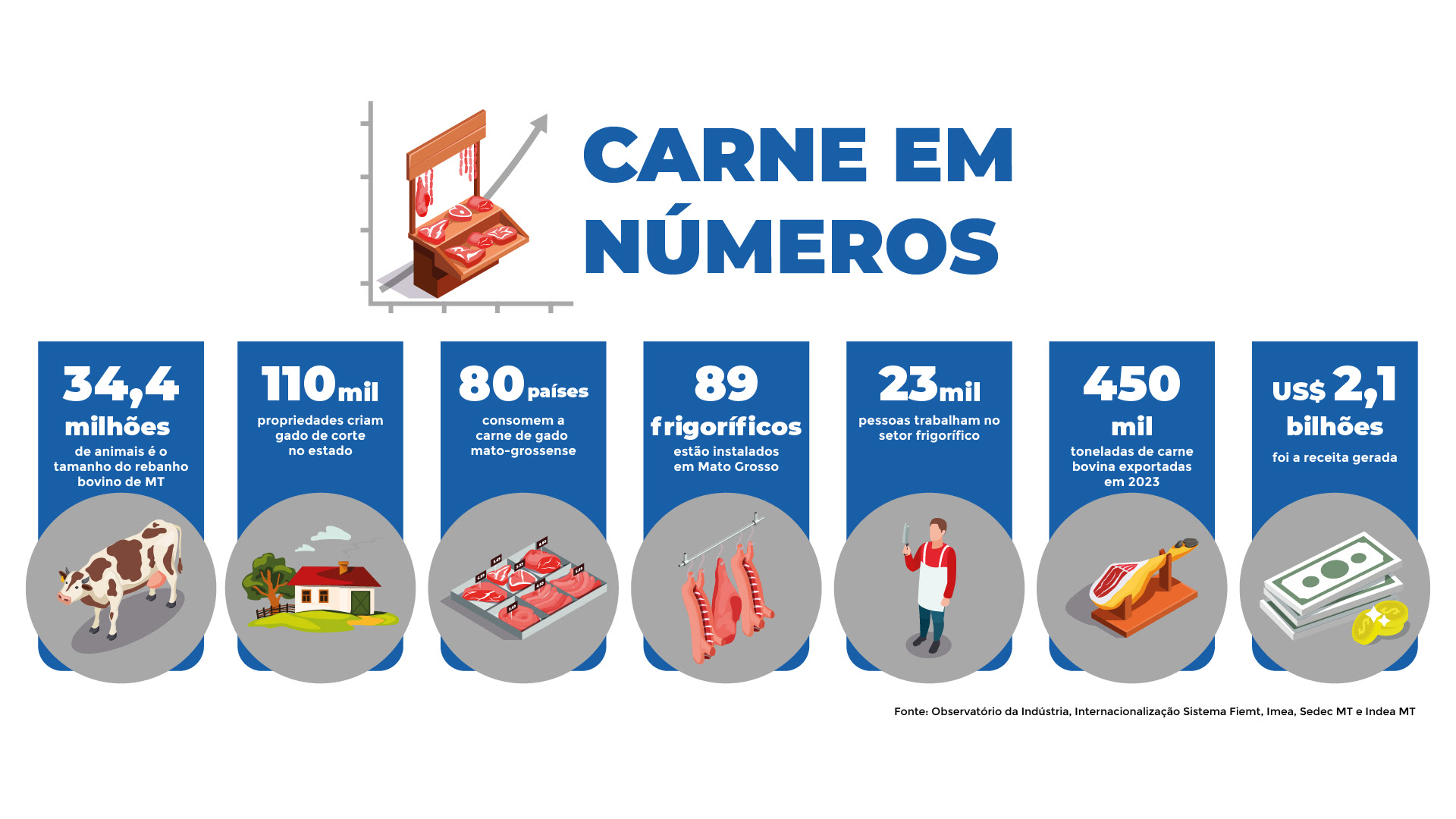 mato grosso e gigante na industria da carne imagem 1 2073690738