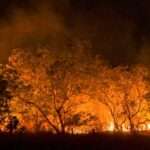 20-02-2024 Queimadas e incêndios em Amajari – Roraima - Foto Jader Souza/AL Roraima