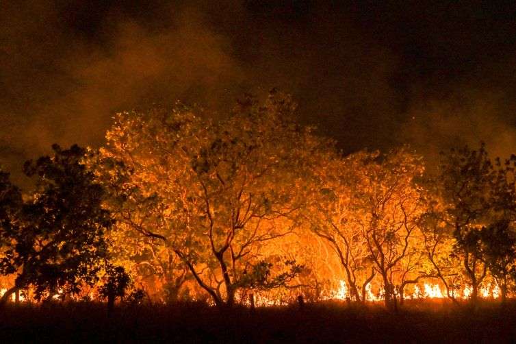 20-02-2024 Queimadas e incêndios em Amajari – Roraima - Foto Jader Souza/AL Roraima