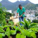 Projeto mobiliza moradores das comunidades pacificadas implementando agricultura sustentável em hortas comunitárias. Na foto, o morador do Morro da Formiga, Wallace da Silva Rosa (Tomaz Silva/Agência Brasil) Por: 05 18:18:56