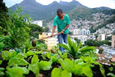 Projeto mobiliza moradores das comunidades pacificadas implementando agricultura sustentável em hortas comunitárias. Na foto, o morador do Morro da Formiga, Wallace da Silva Rosa (Tomaz Silva/Agência Brasil) Por: 05 18:18:56