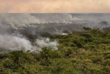 O fogo volta a ameaçar a rica biodiversidade da região