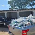 Polícia Civil entrega a instituições filantrópicas cestas básicas que seriam entregues por facção_6686c2e8be5b5.jpeg