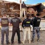 Desmanche de carretas em Sorriso resulta em prisões e apreensão de veículos