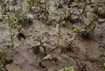 vítimas pedem que governo rejeite acordo de mineradoras