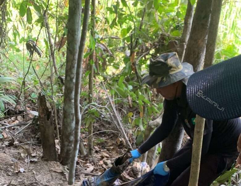 Mulher envolvida em homicídio e ocultação de cadáver é presa em Mato Grosso