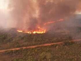 Bombeiros de Mato Grosso combatem 36 incêndios florestais nesta segunda-feira (30)