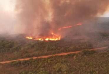 Bombeiros de Mato Grosso combatem 36 incêndios florestais nesta segunda-feira (30)